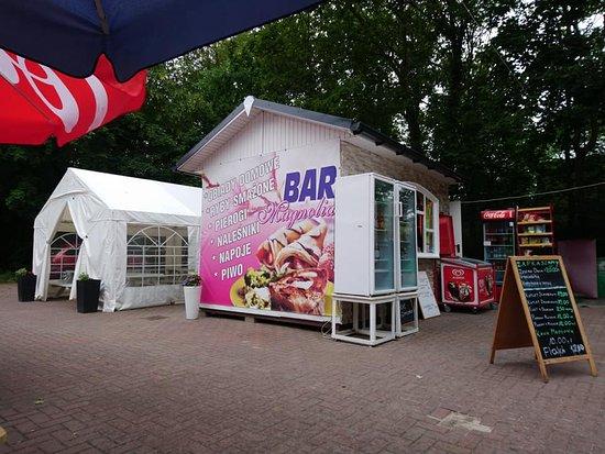 Bar Magnolia